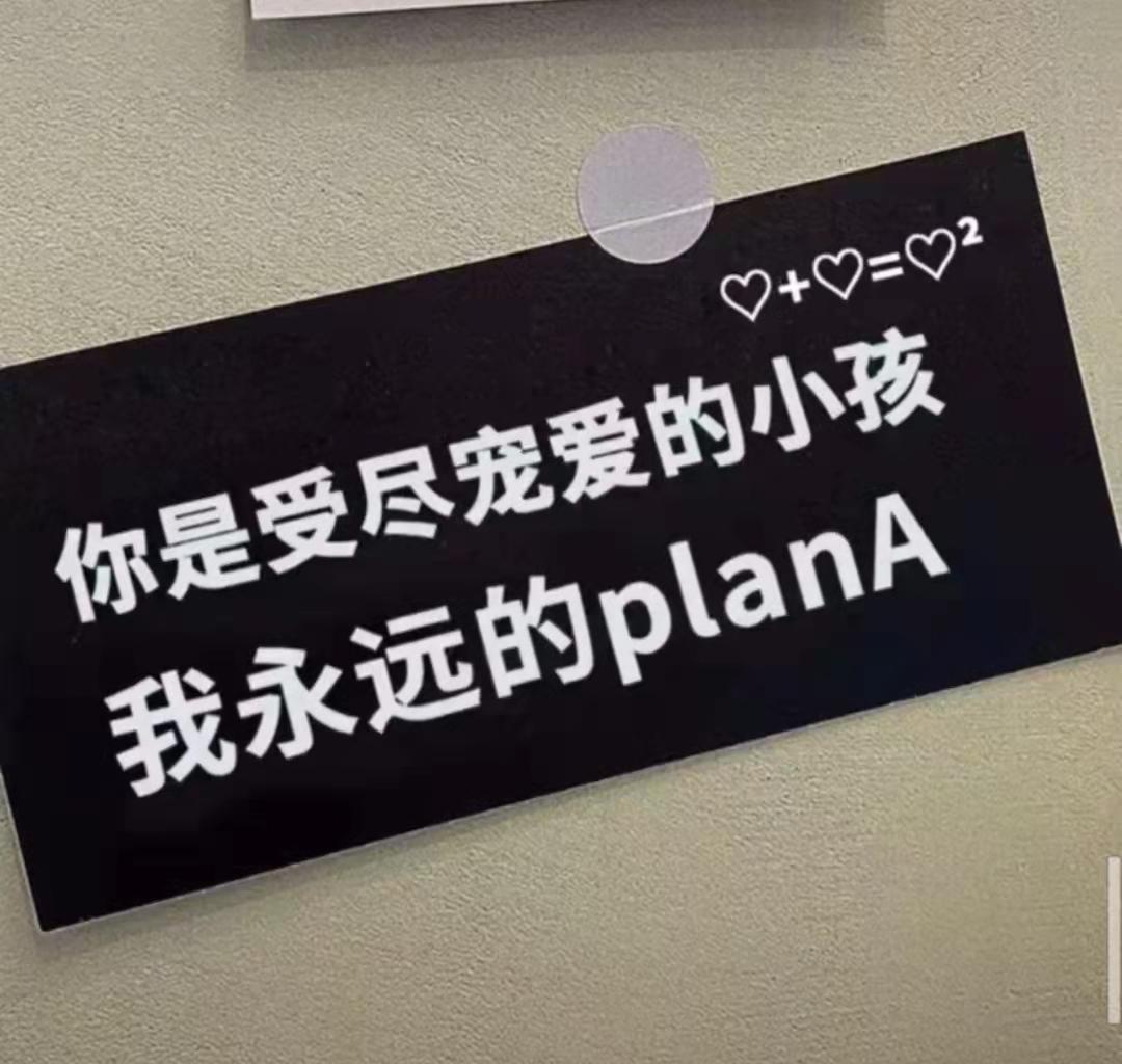 收集世间最温柔的句子(图1)