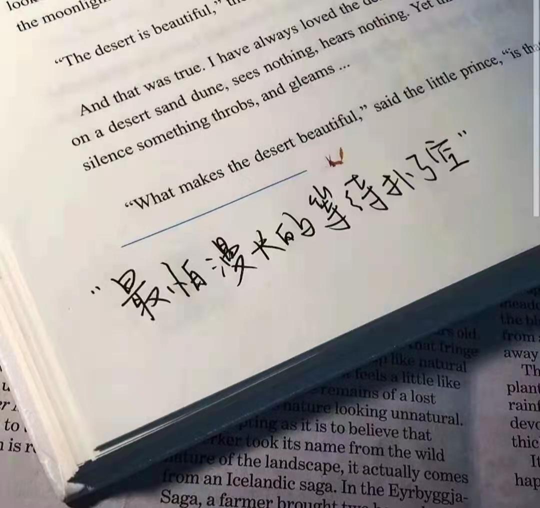 收集世间最温柔的句子(图2)