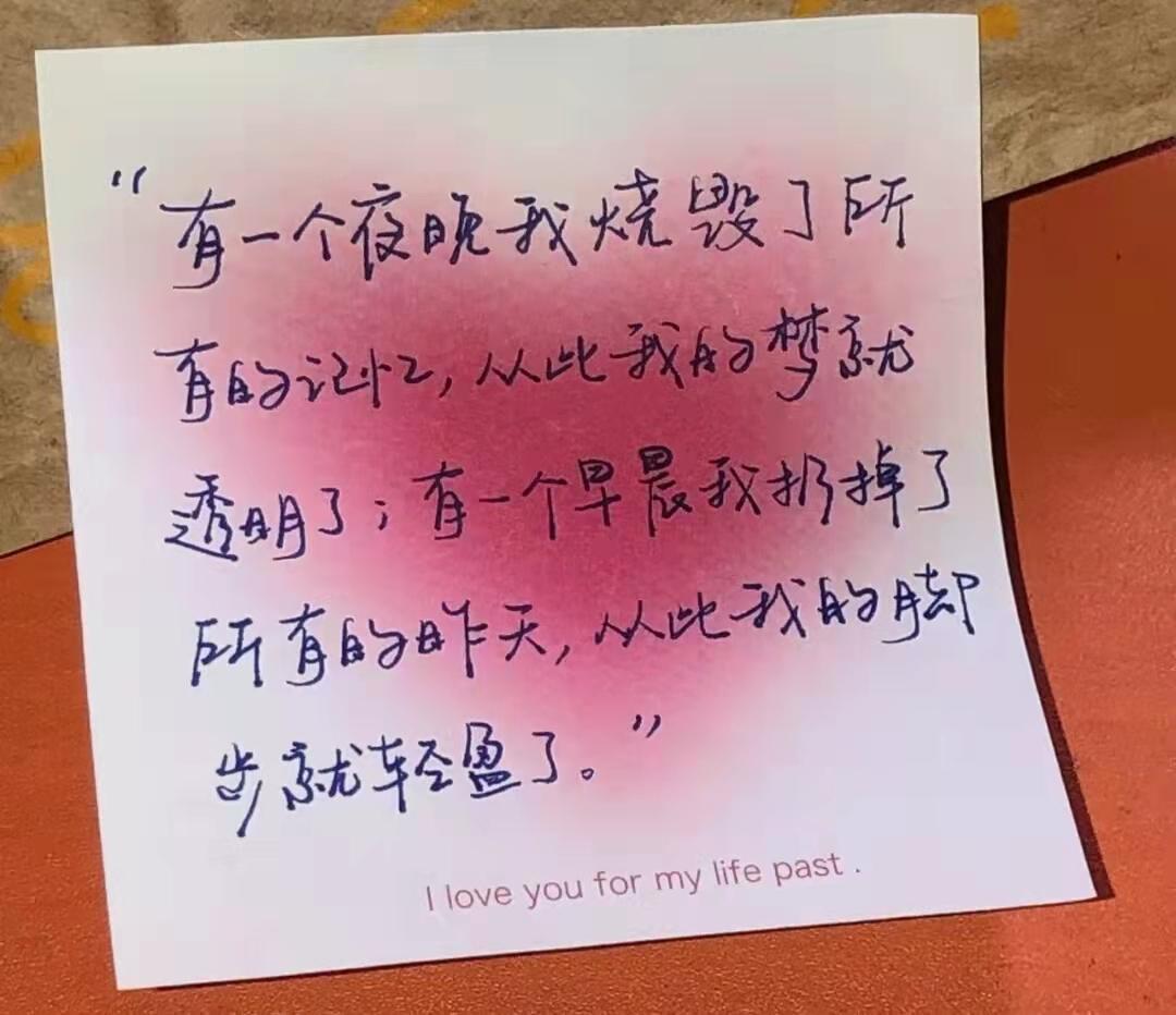 收集世间最温柔的句子(图3)