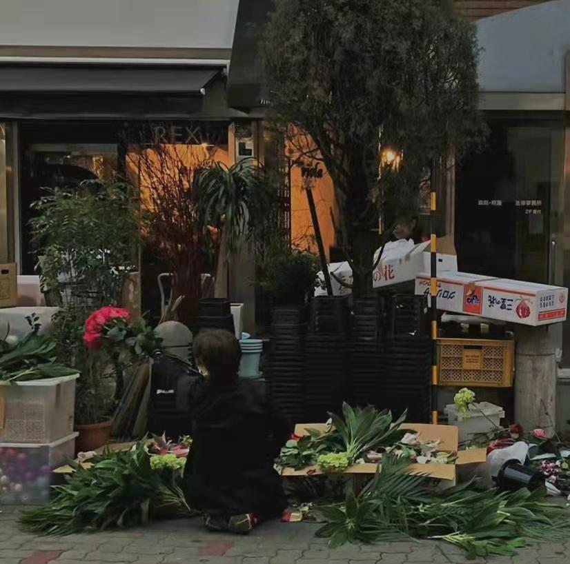 收集世间最温柔的句子(图5)