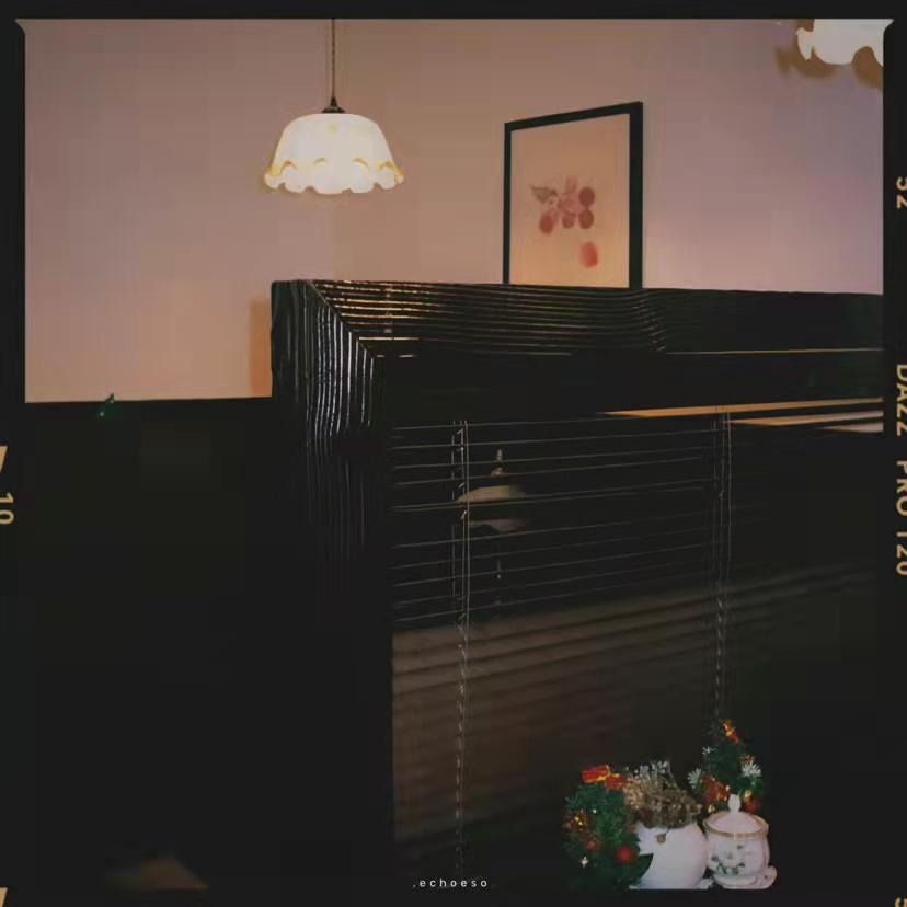 收集世间最温柔的句子(图6)