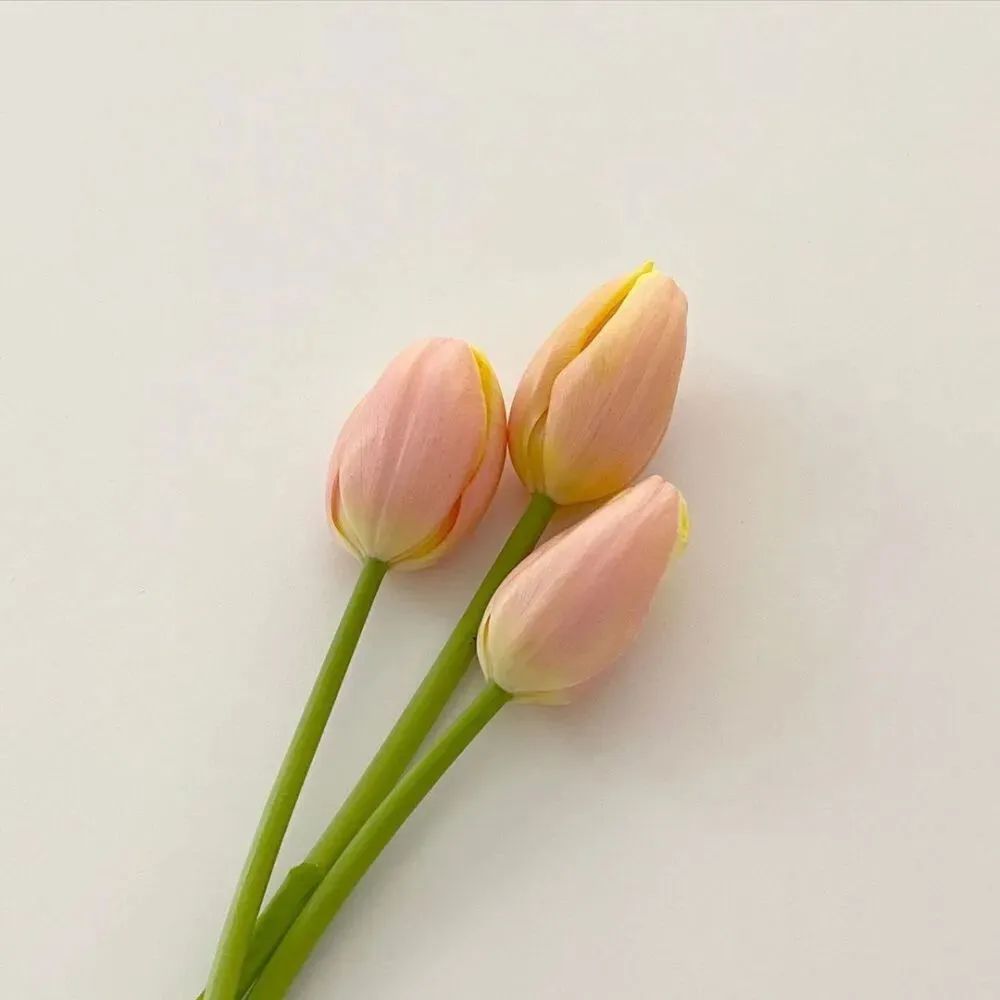 文案  希望疫情早日结束发朋友圈的文案(图8)