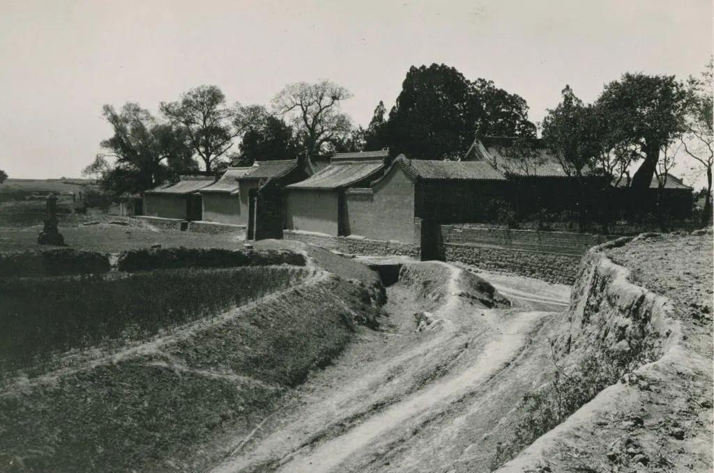 本家兄弟满意的不满意一生（作者 马其亚）(图1)