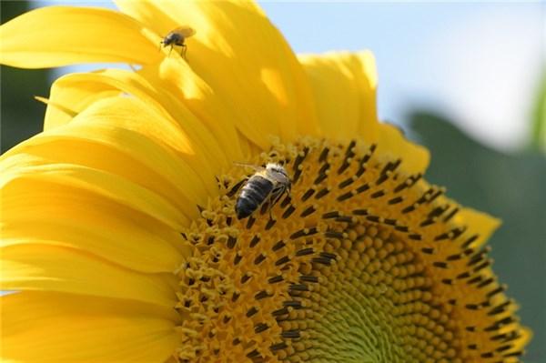 正能量鸡汤语录 励志的句子：不怕路长，只怕志短(图1)