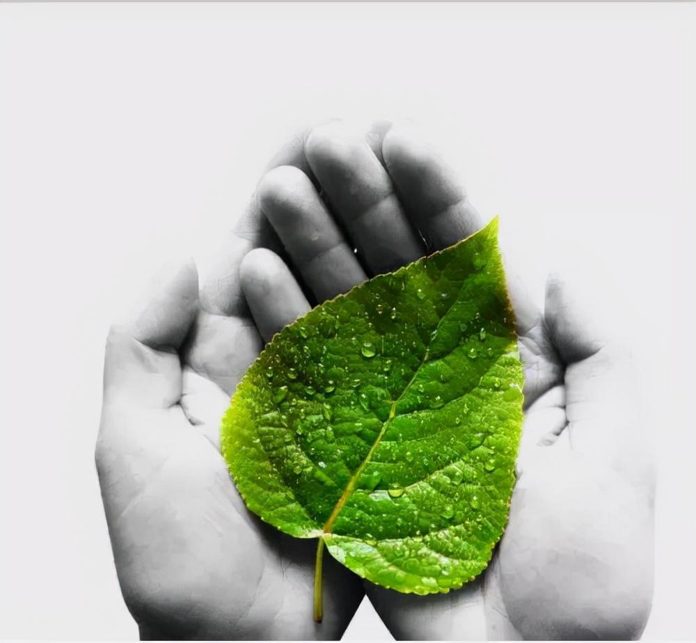 爱心公益发朋友圈句子应该怎么写？如何才能引起大家的重视跟帮助(图2)