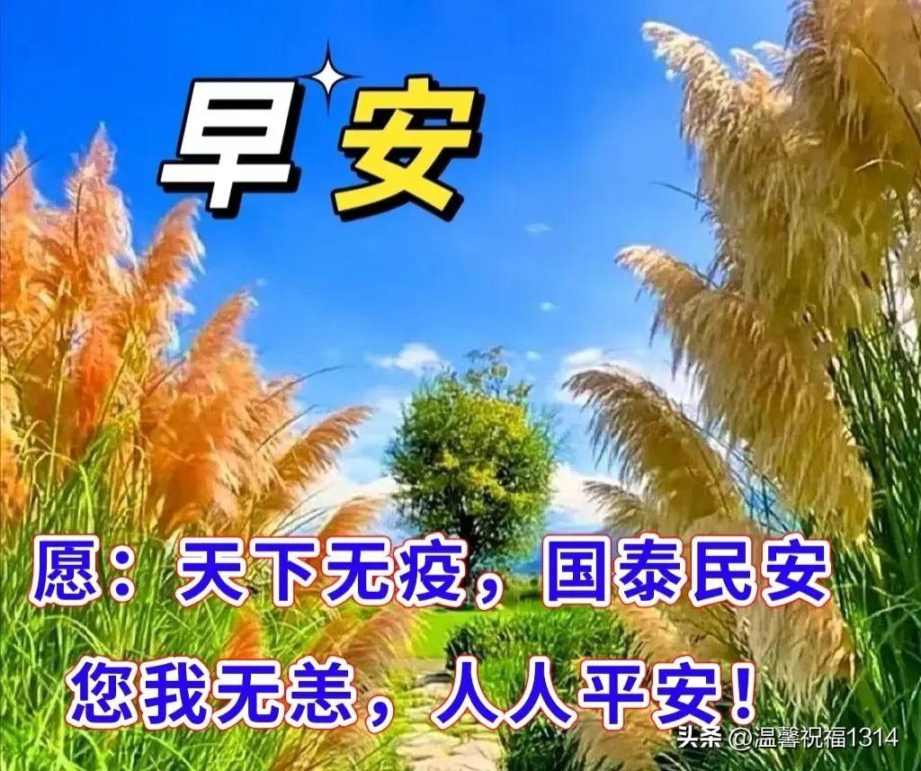 特别暖心的抗击疫情早安问候图片带字，最新早上好问候暖心句子(图1)