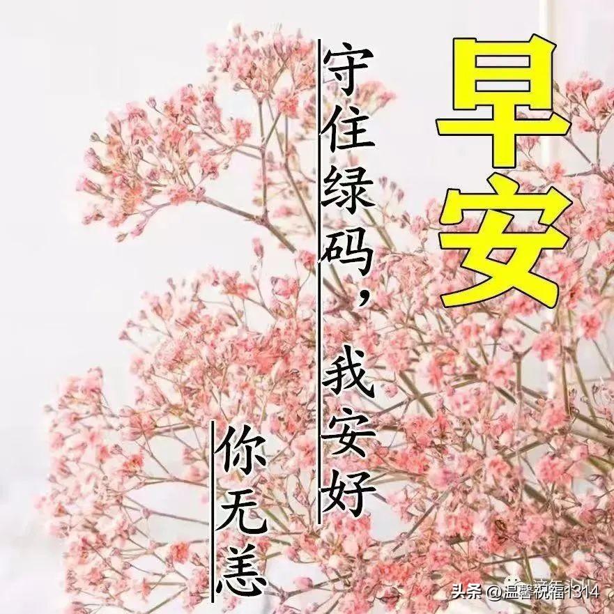 特别暖心的抗击疫情早安问候图片带字，最新早上好问候暖心句子(图4)