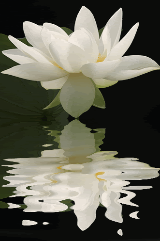 生如夏花,美如夏花(图11) 生如夏花,美如夏花(图11)