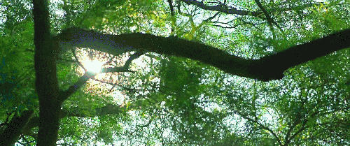 累了就回家吧，回到最初的美好(图2)