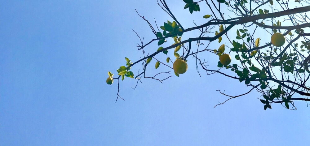 累了就回家吧，回到最初的美好(图3)