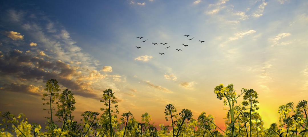 累了就回家吧，回到最初的美好(图4)