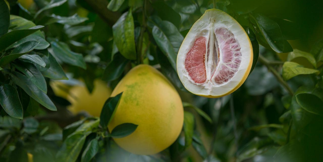 累了就回家吧，回到最初的美好(图5)