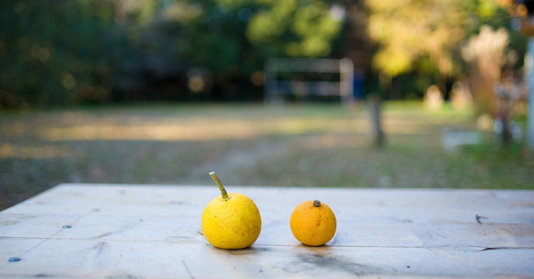 累了就回家吧，回到最初的美好(图6)