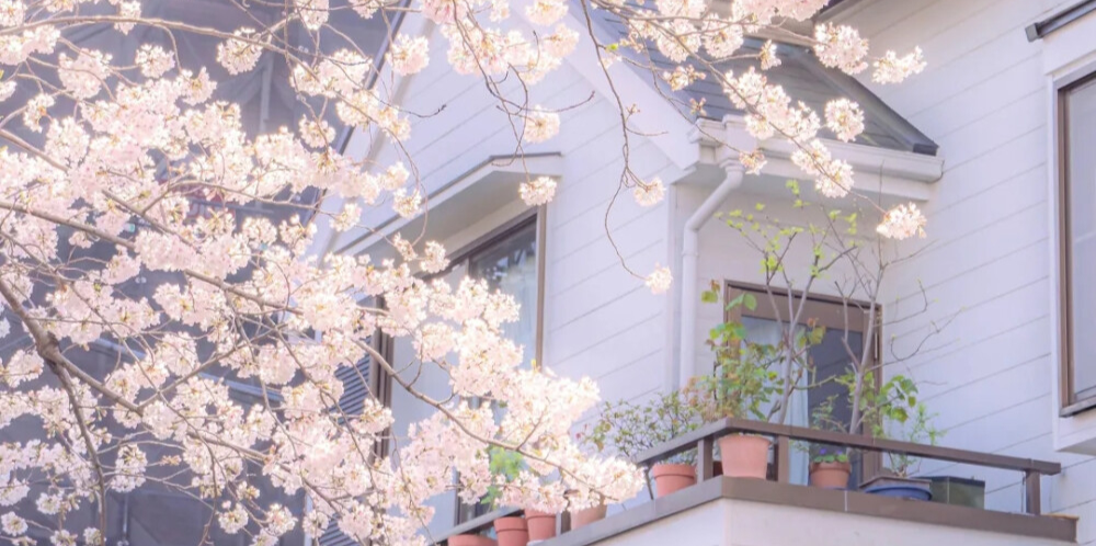 累了就回家吧，回到最初的美好(图9)