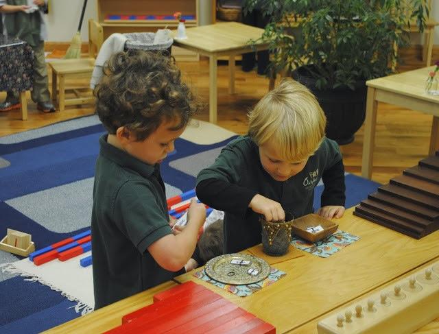 蒙特梭利的这109条经典教育名言，你真的理解了吗(图3)