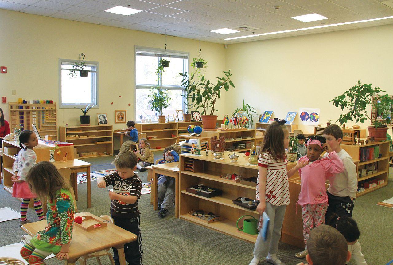 蒙特梭利的这109条经典教育名言，你真的理解了吗(图5)