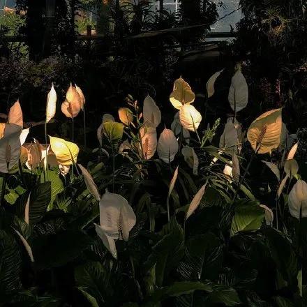 近期复制的杂七杂八的温柔小众句子(图1)