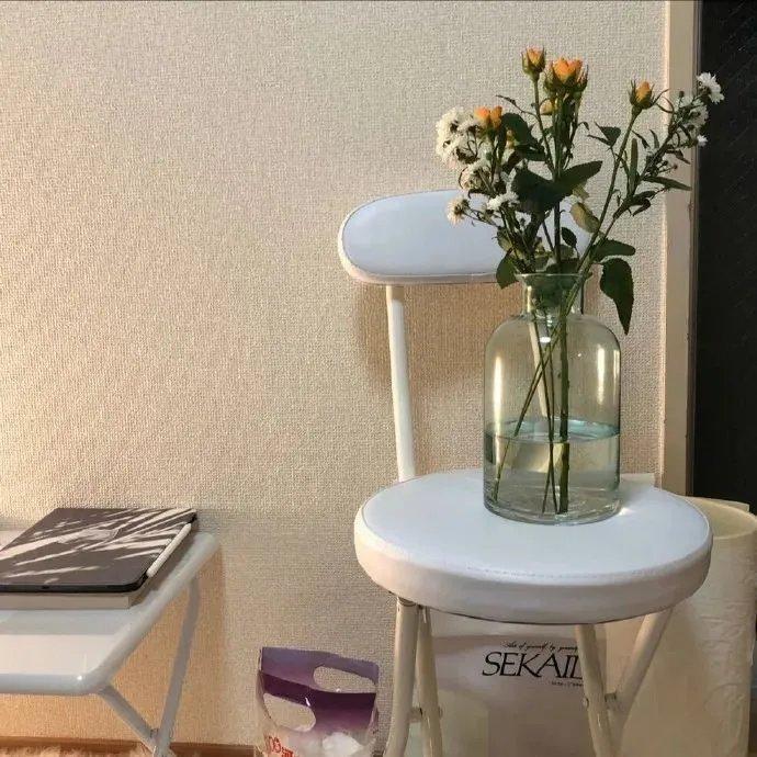 近期复制的杂七杂八的温柔小众句子(图7)