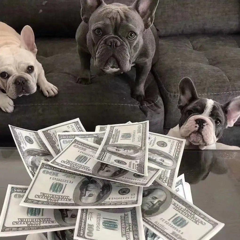 近期复制的杂七杂八的温柔小众句子(图8)