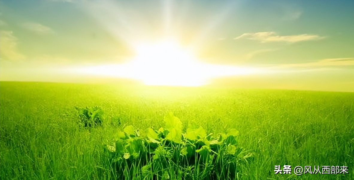 随笔  纯粹事物，纯净而美好(图1)