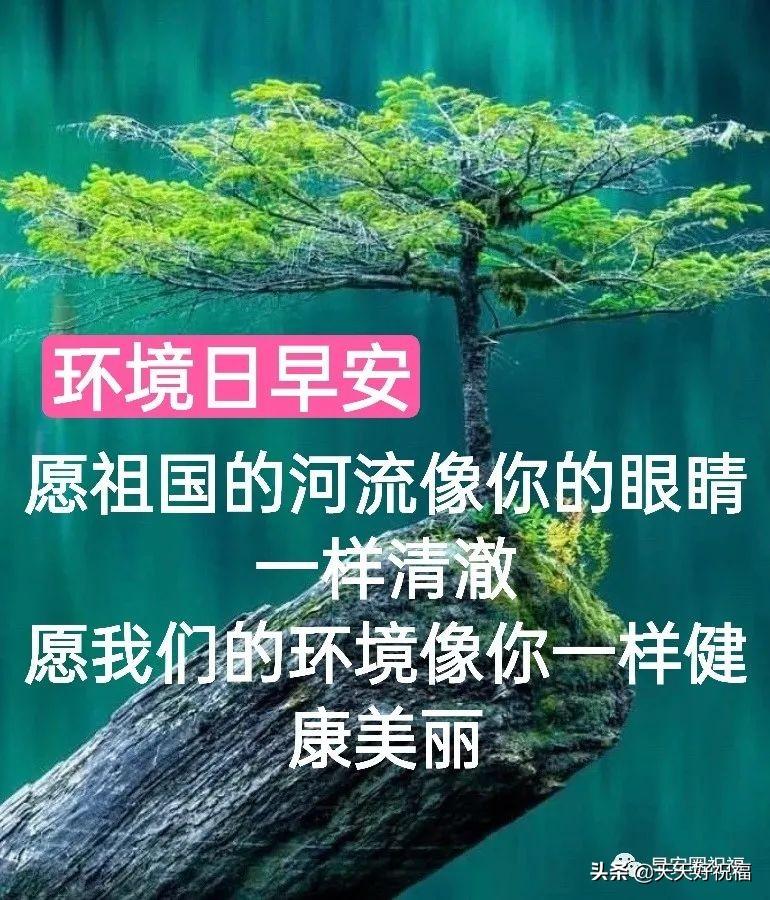 非常创意简单爱护环境日图带字祝福语，简短早上好温馨问候语图片(图6)