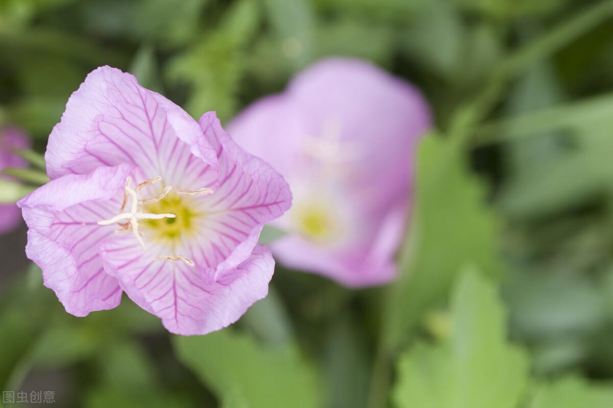 满怀无限期待的阳光短句，引人自省，意义非凡(图2)