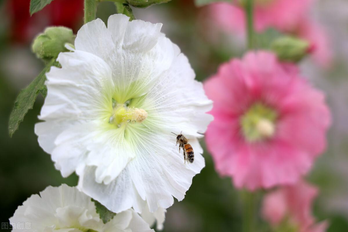 满怀无限期待的阳光短句，引人自省，意义非凡(图3)