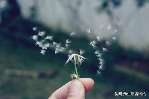 人生必须信奉的32条人生信条，你做到了吗？(图3)