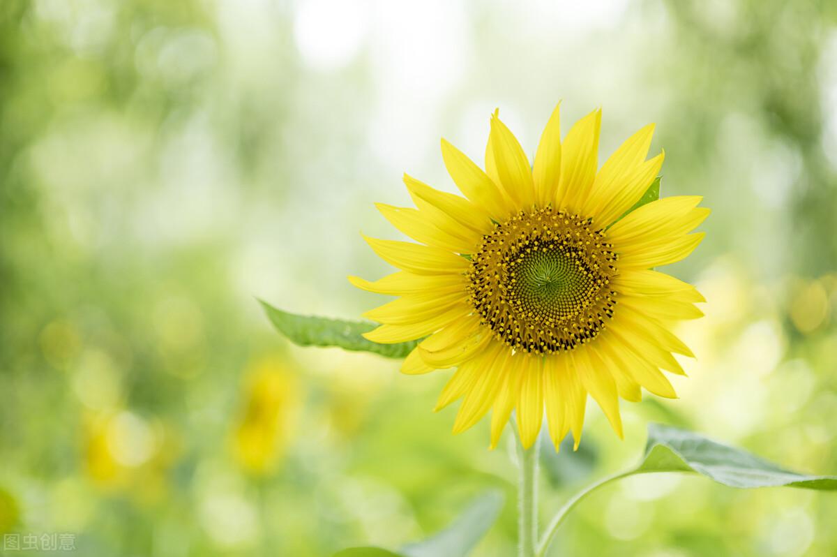 简单干净的人生信条，句句散发着年轻的活力(图1)