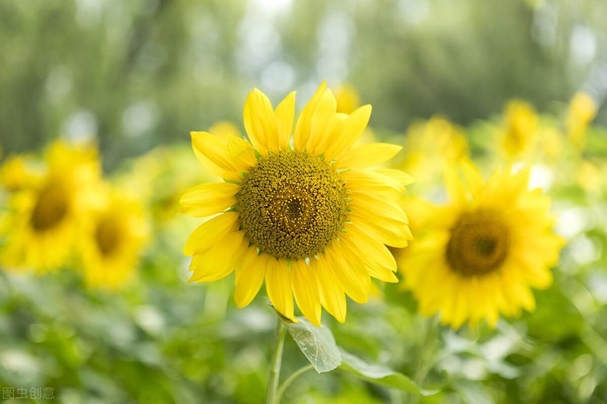 简单干净的人生信条，句句散发着年轻的活力(图3)