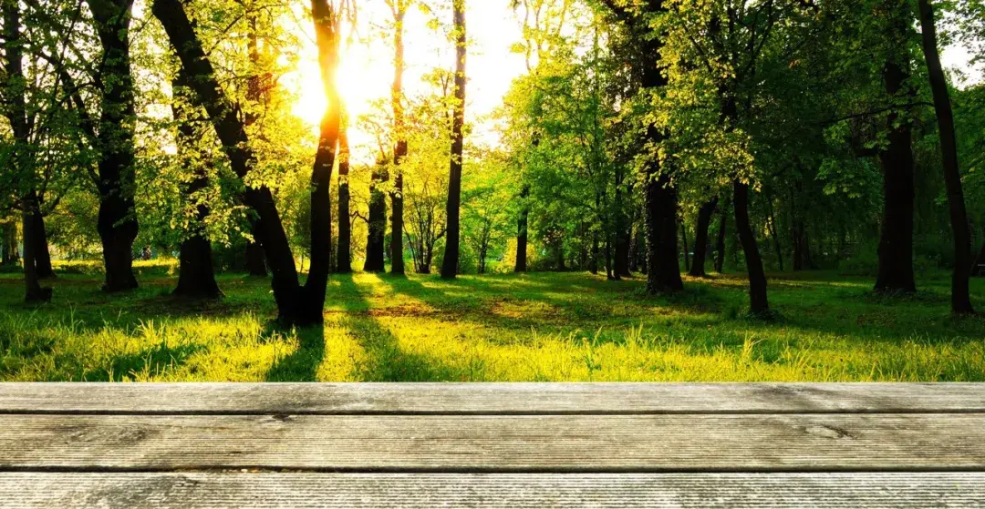 30句名言警句，带你品读人生真相！(图4)