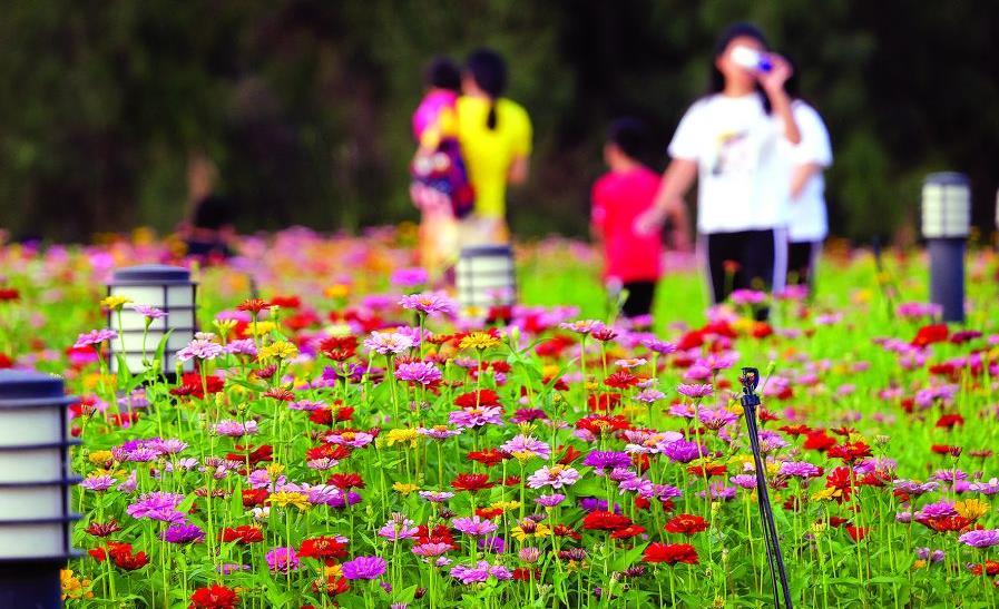 经典台词大对白，一句一人生(图1)