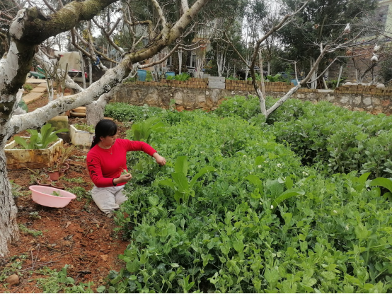 遭遇车祸不幸双腿截肢 云南陆良“板凳姐”朱琼芬的励志故事令无数网友感动(图6)