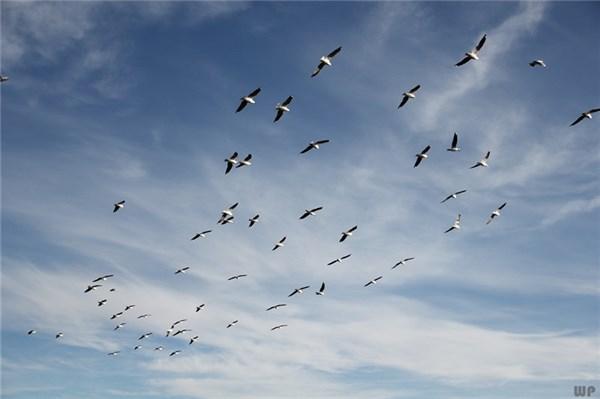 励志正能量短句，激发斗志，让你霸气逆袭(图2)