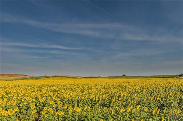 励志正能量短句，激发斗志，让你霸气逆袭(图3)