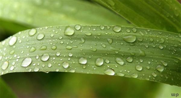 励志正能量短句，激发斗志，让你霸气逆袭(图5)