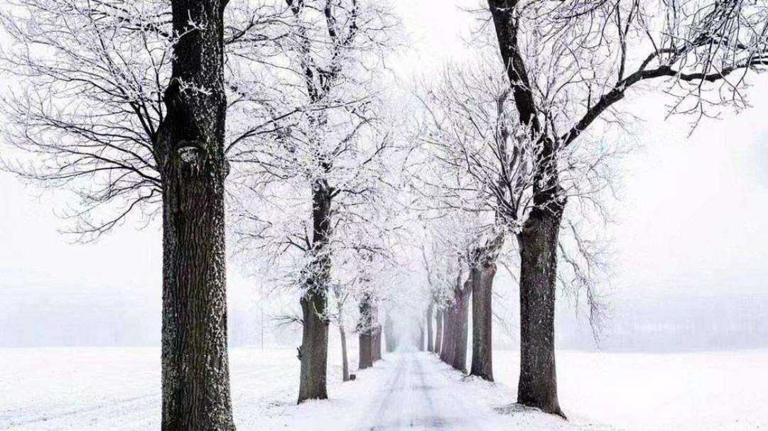 这个冬季，还有那抹新绿(图1)