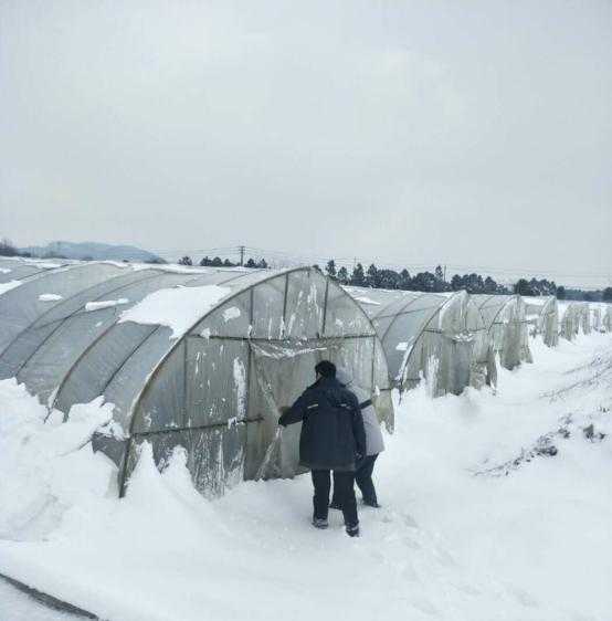 这个冬季，还有那抹新绿(图3)