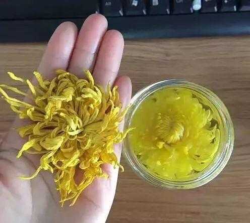 这个冬季，还有那抹新绿(图5)