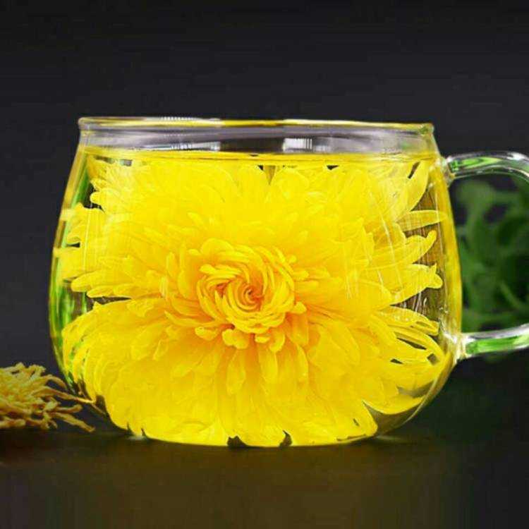 这个冬季，还有那抹新绿(图6)