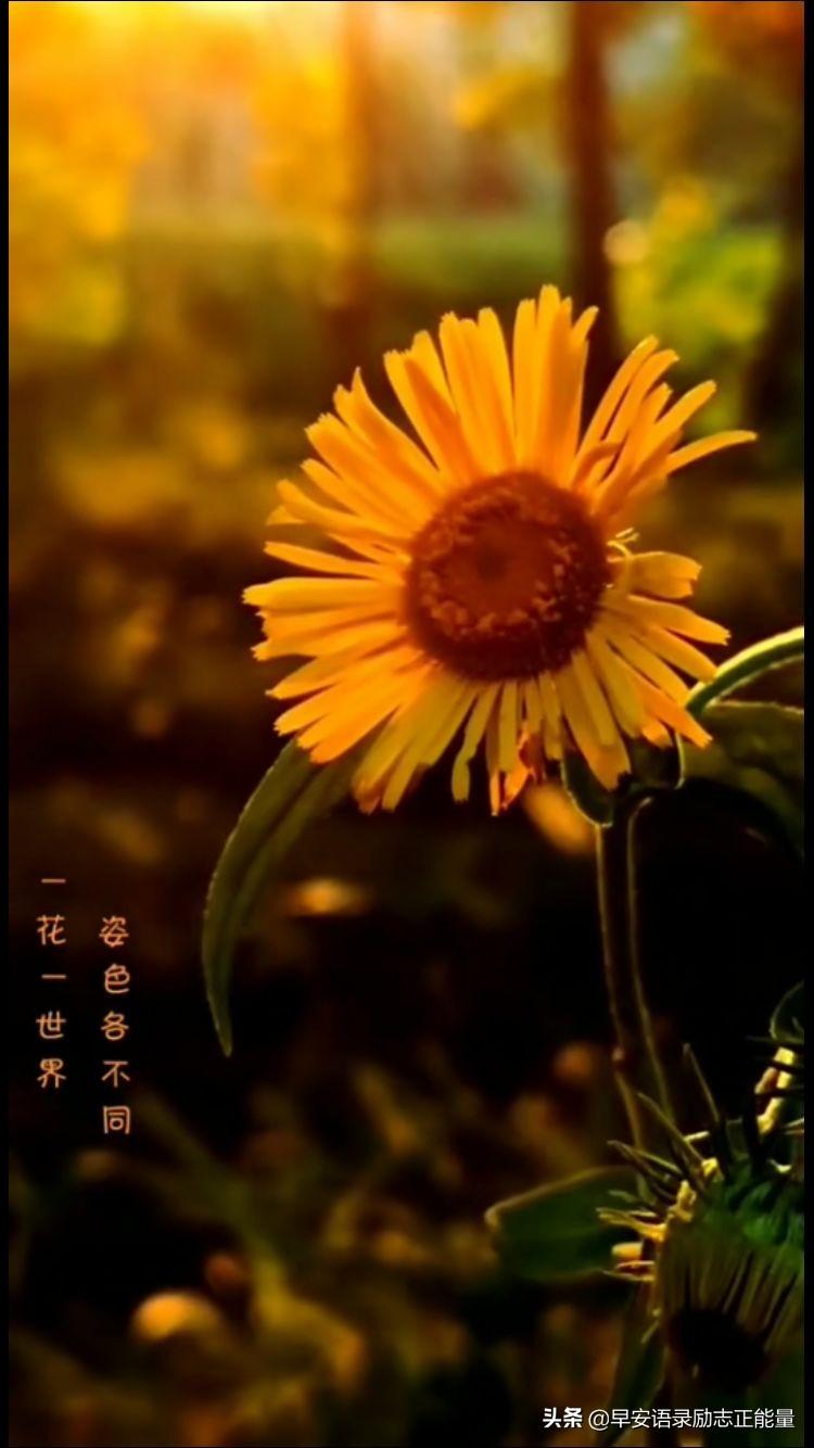 前方的路，尽管遥远，尽管颠簸，但脚步依然，追求依然，方向依然(图5)