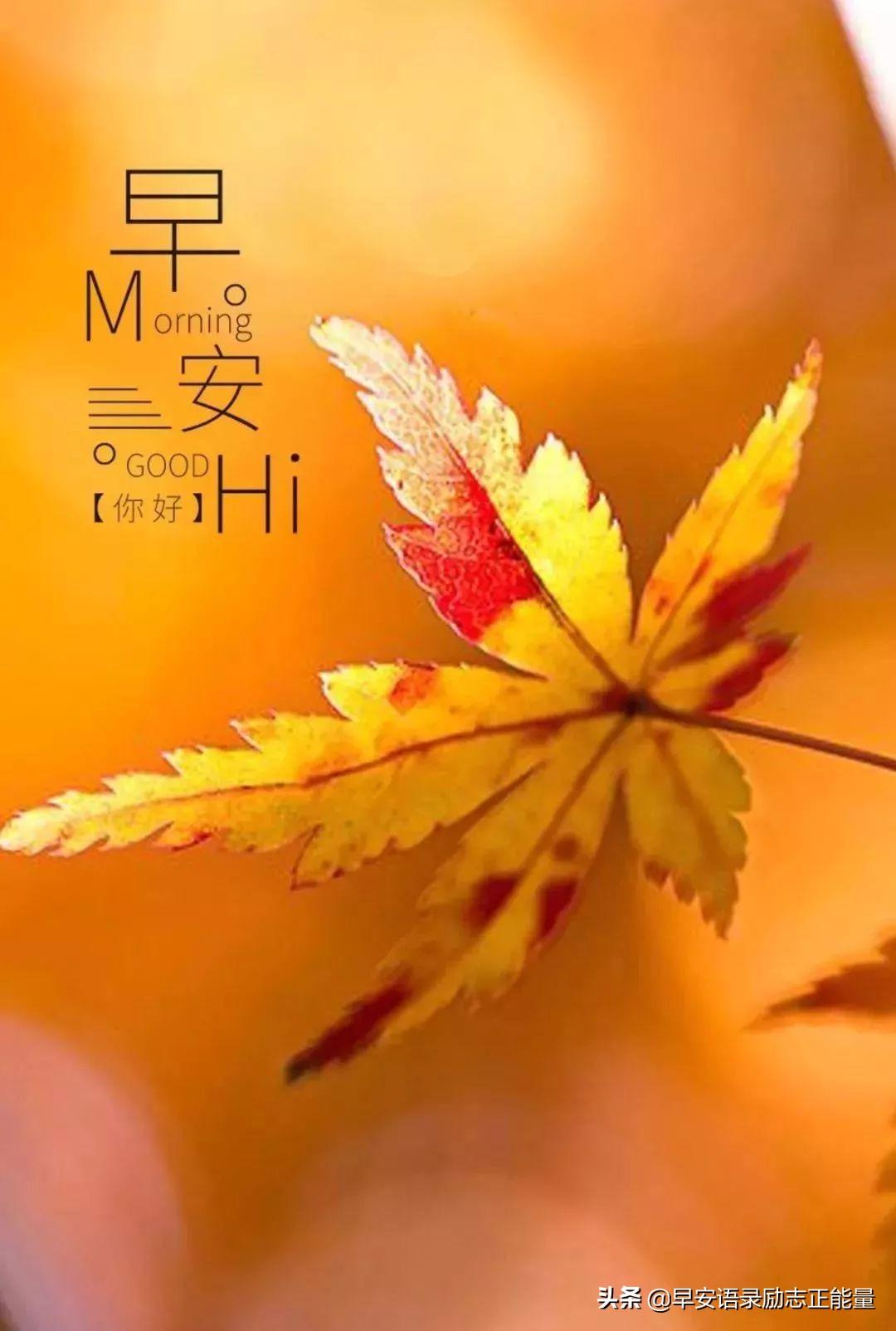 前方的路，尽管遥远，尽管颠簸，但脚步依然，追求依然，方向依然(图8)