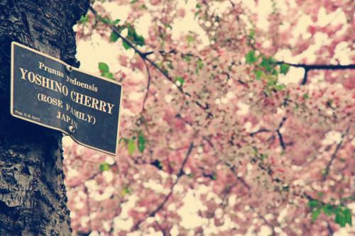 50句关于电影影视的名言（名人对电影的名言）(图1)