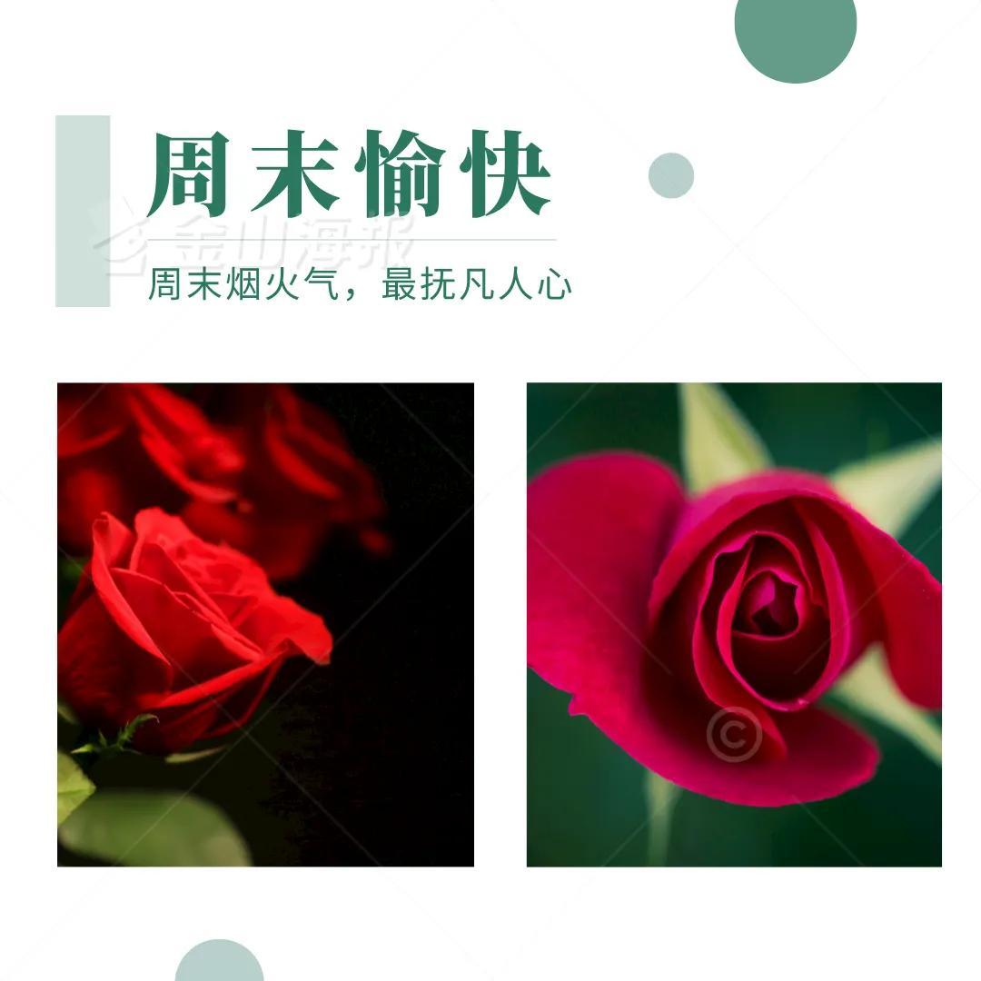 周末愉快的朋友圈文案说说，超级温暖治愈(图3)