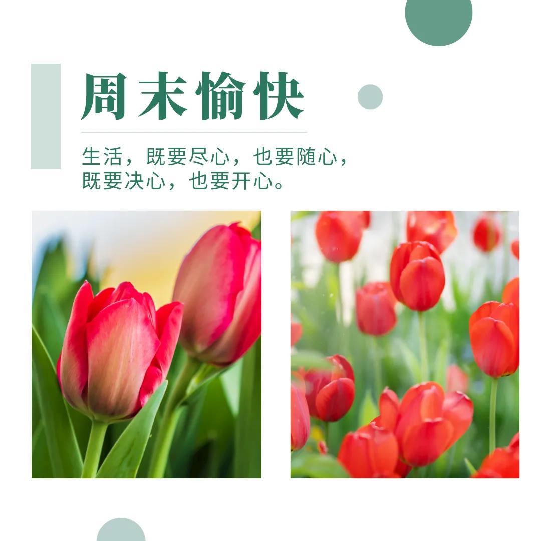 周末愉快的朋友圈文案说说，超级温暖治愈(图4)