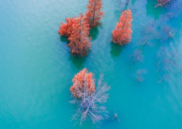 一个人一瓶酒说说（一个人一瓶酒说说心情短语）(图1)
