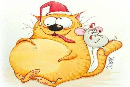 每天学点幽默口才，提高情商的30句幽默小段总有一款适合你(图2)