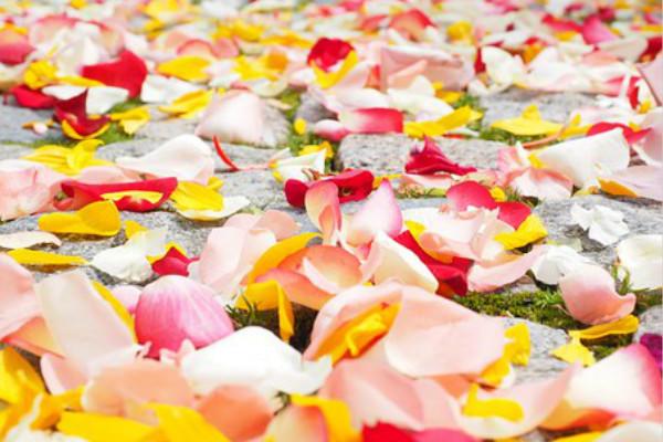 幽默段子手经典语录 两人对话搞笑段子(图2)