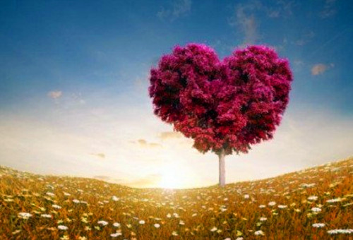 《天道》丁元英50条语录（天道丁元英是做什么的）(图1)