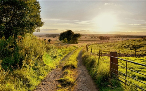 《撒野》经典励志语录（撒野励志名句）(图1)